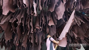 ছবিতে কর্মব্যস্ত চামড়া শিল্পনগরী