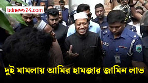 দুই মামলায় স্থায়ী জামিন পেলেন আমির হামজা