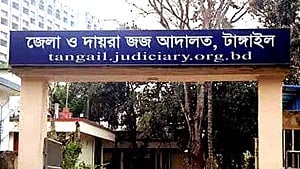 ১৮ দিনের সন্তানকে শ্বাসরোধে হত্যা, নারীর ১৩ বছর কারাদণ্ড