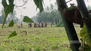 ঠাকুরগাঁওয়ের শূন্যরেখা থেকে ১১ জনকে সরিয়ে নিয়েছে বিএসএফ: বিজিবি