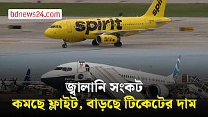 বিমান পরিবহন খাতে মুনাফা অর্ধেকে নামার আশঙ্কা