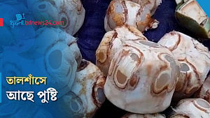 রসে ভরা তালের শাঁস