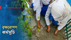 রংপুরে বৃক্ষরোপণ কর্মসূচি