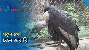 শকুন কেন রক্ষা করতে হবে