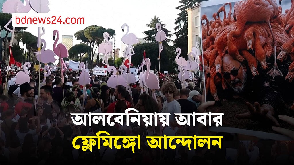 আলবেনিয়ায় আবার ফ্লেমিঙ্গো আন্দোলন