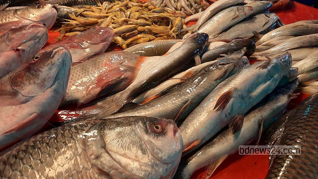 A week after Eid-ul-Azha, many fish stalls at Dhaka’s kitchen markets remain closed.