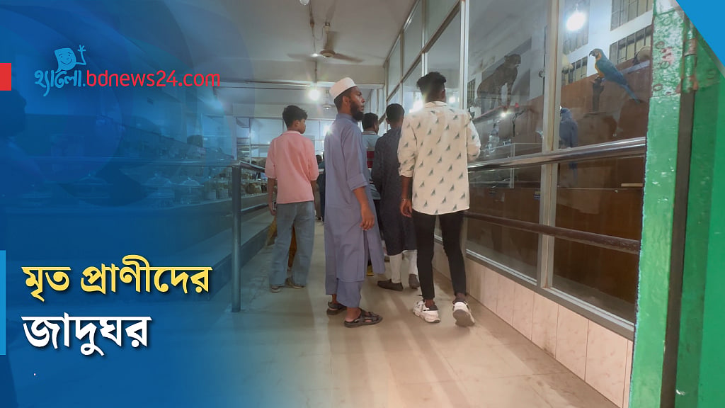 মৃত প্রাণীদের নিয়ে যে জাদুঘর