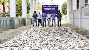 চাঁদপুরে ১২৭ মণ জাটকা জব্দ, ১০ জেলের কারাদণ্ড