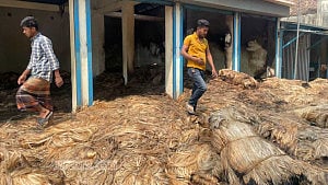 সালথায় আগুনে ৩৫০ মণ পাট ও ৩০ মণ মসুরি ডাল ভস্মীভূত