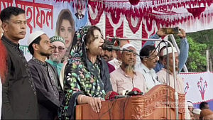 অকার্যকর সংসদ এখন কার্যকর হয়েছে: পররাষ্ট্র প্রতিমন্ত্রী