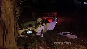 3 die as car slams into tree in Jashore