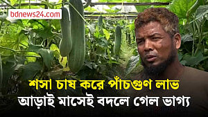 লালমনিরহাটে শসা চাষ করে পাঁচগুণ লাভ, আড়াই মাসে কৃষকের ভাগ্য বদল