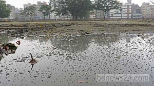 ঢাকায় মশা নিয়ে ‘যুদ্ধ’, কী করছে নগর সংস্থা?