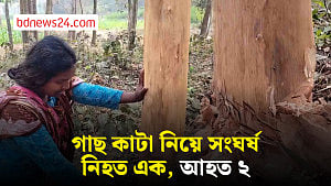 নীলফামারীতে গাছ কাটা নিয়ে দুপক্ষের সংঘর্ষে নিহত এক, আহত ২
