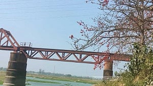 সিরাজগঞ্জে সেলফি তুলতে গিয়ে ট্রেনের ধাক্কায় প্রাণ গেল ২ যুবকের