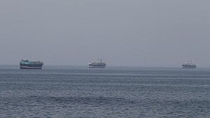 China, India move tankers through Hormuz: Gabbard