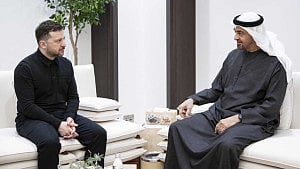Zelensky agrees defence cooperation with UAE, Qatar