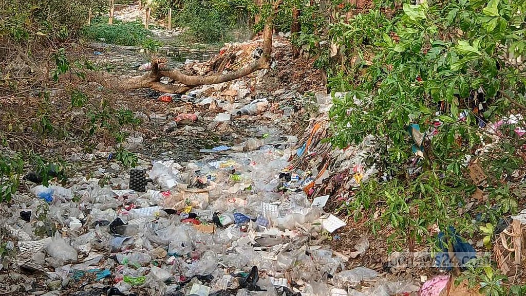 কাটাছরা ইউনিয়নের বামনসুন্দর দারোগাহাট বাজার এলাকায় এভাবেই দখল হয়ে গেছে খালটি।