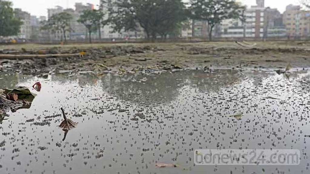 ফাইল ছবি