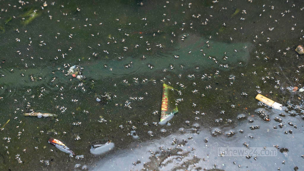 ঢাকায় মশার উৎস এরকম নালা। ফাইল ছবি। 