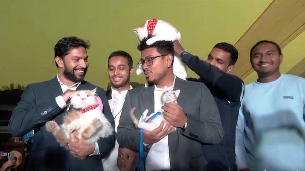 ডাকসু ভিপি সাদিক কায়েম নির্বাচনের আগে বেড়াল কোলে নিয়ে ছবি তুলে তার প্রজন্মের ভোটারদের কাছে প্রশংসিত হয়েছিলেন। ছবি: ভিডিও থেকে