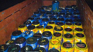 Illegal shrimp fry worth 'Tk10mn' seized in Barguna