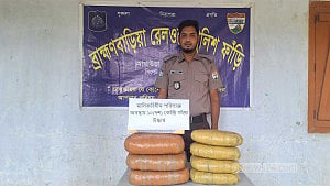 ব্রাহ্মণবাড়িয়ায় ‘উপবন এক্সপ্রেসের’ টয়লেট থেকে ১০ কেজি গাঁজা উদ্ধার