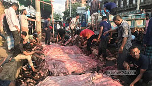 চট্টগ্রামে চামড়া সংগ্রহে এবার ছোটাছুটি নেই, ‘সিন্ডিকেটে’ দরপতন?