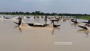 হালদায় ডিম ছেড়েছে মা মাছ, সংগ্রহ কম