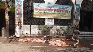 নগরজুড়ে পশু জবাই