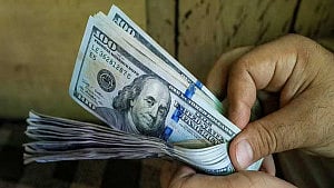 Dollar buying spree tops $6bn before end of FY26