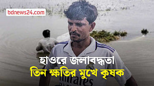 হাওরে জলাবদ্ধতা: তিন ক্ষতির মুখে কৃষক