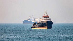 Trump halts Hormuz mission after Gulf backlash: report