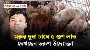 সাতটি দিয়ে শুরু, তরুণ উদ্যোক্তার খামারে এখন ৪০ দুম্বা