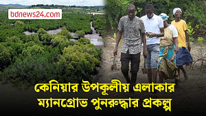 কেনিয়ার মিকিন্দানি উপকূলীয় এলাকার ম্যানগ্রোভ পুনরুদ্ধার প্রকল্প আশা জাগাচ্ছে