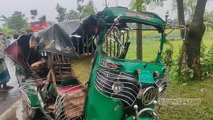 Netrokona road crash kills 2