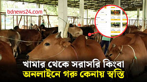 কোরবানির হাটের ঝামেলায় যেতে চান না নোয়াখালীর বেশিরভাগ ক্রেতা