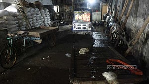পোস্তায় আগের জৌলুস ফেরাতে চান কাঁচা চামড়া ব্যবসায়ীরা