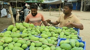 আমবাজার ঘিরে ৪ জেলায় শনিবারও ব্যাংক খোলা