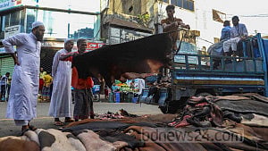 Eid hide prices up by Tk 2-3