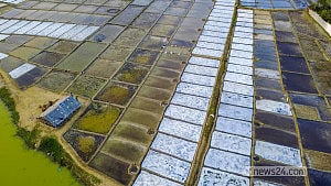 The salt fields at Shah Porir Dwip