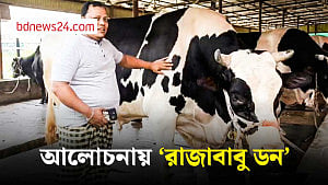 শেরপুরে ৩৩ মণ ওজনের ‘রাজাবাবু ডন’ ঘিরে ভিড়