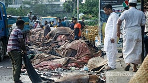 কোরবানির পশুর চামড়া সংগ্রহ