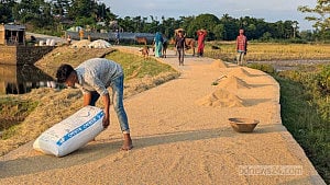 Two tales of damage at Korchar Haor
