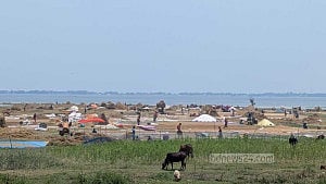 Broken harvest, drowned hopes in Haor lands