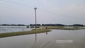 হাওরের কান্না: প্রাকৃতিক নাকি ভুল পরিকল্পনার খেসারত?