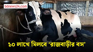 রাজবাড়ীতে ৩৬ মণের ‘রাজবাড়ীর বস’, দাম হাঁকা হচ্ছে ১০ লাখ