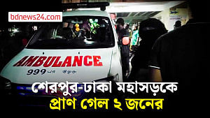 শেরপুরে ডাম্প ট্রাক-অটোরিকশা সংঘর্ষে নিহত ২