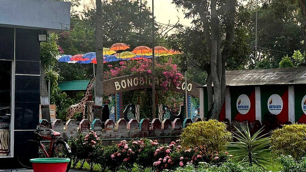 ছবি: বিকাশ কান্তি চৌধুরী