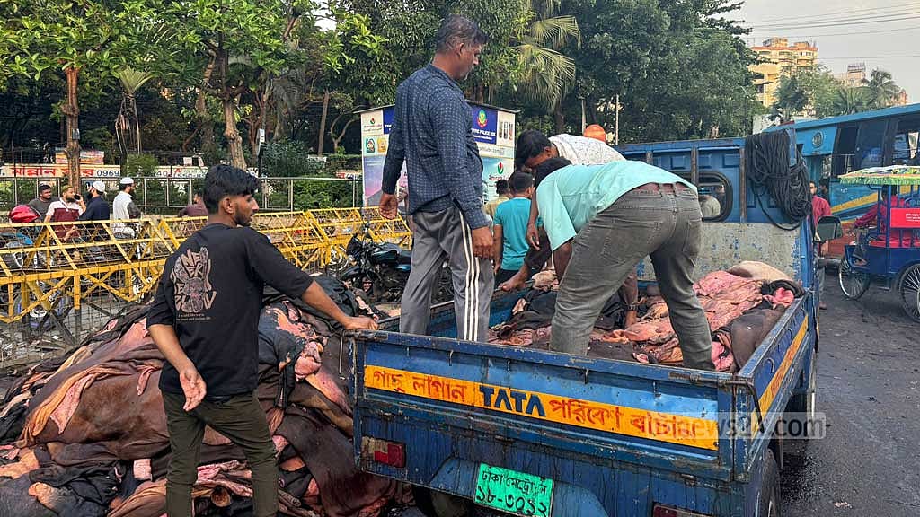 রাজধানীর সায়েন্সল্যাব এলাকায় চামড়া সংগ্রহ করে তোলা হচ্ছে পিকআপ ভ্যানে।